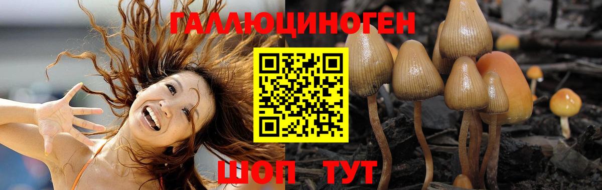 Галлюциногенные грибы MAGIC MUSHROOMS  Вход с VPN  где найти   Саратов 