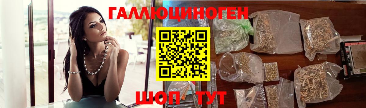 Галлюциногенные грибы GOLDEN TEACHER Саратов